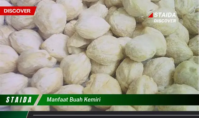 manfaat buah kemiri