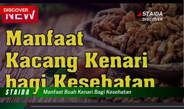 manfaat buah kenari bagi kesehatan