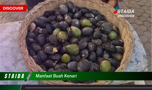 manfaat buah kenari