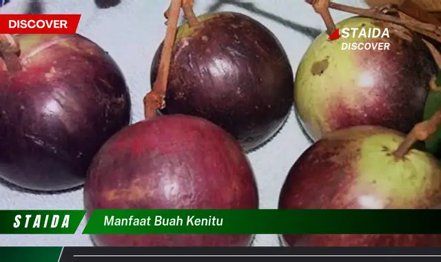 manfaat buah kenitu