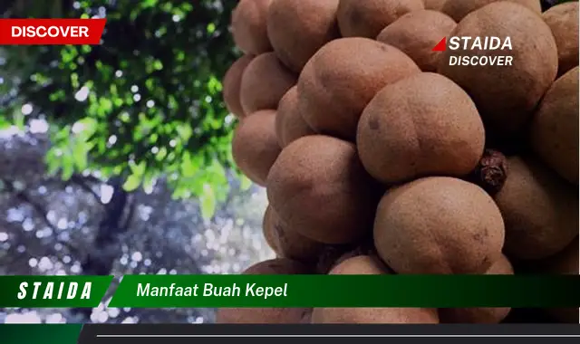 manfaat buah kepel