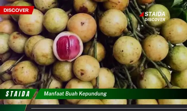 manfaat buah kepundung