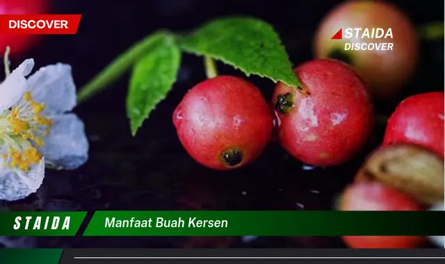 manfaat buah kersen