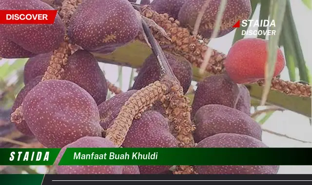 manfaat buah khuldi