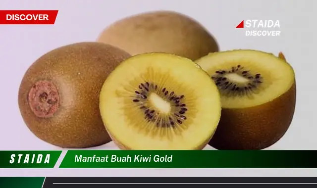 manfaat buah kiwi gold