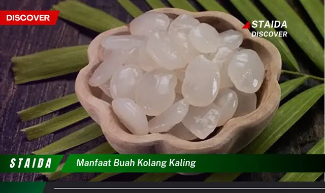 manfaat buah kolang kaling