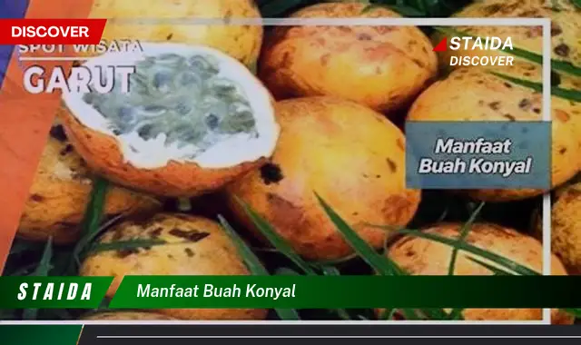 manfaat buah konyal