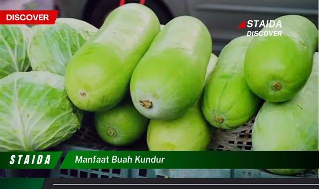 manfaat buah kundur