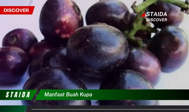 manfaat buah kupa