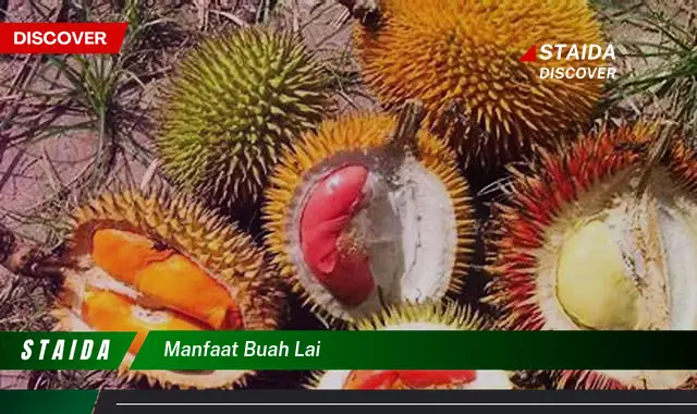 manfaat buah lai