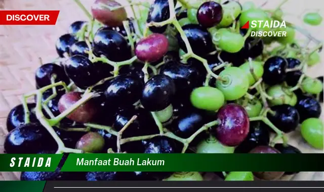 manfaat buah lakum