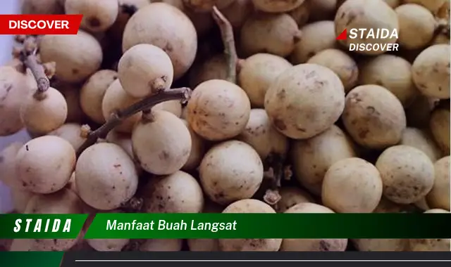 manfaat buah langsat