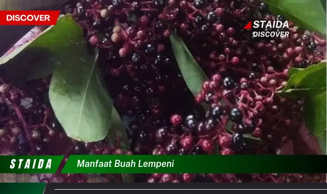 manfaat buah lempeni