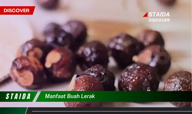 manfaat buah lerak