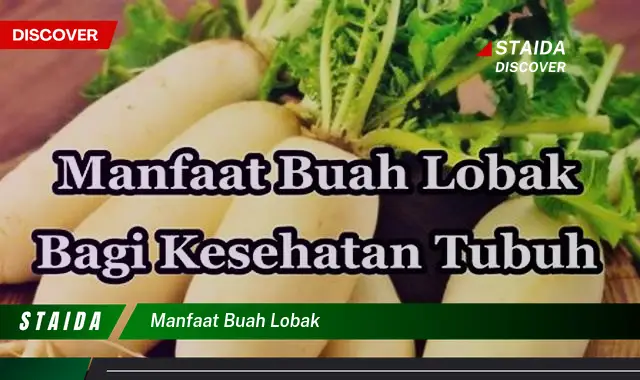 manfaat buah lobak