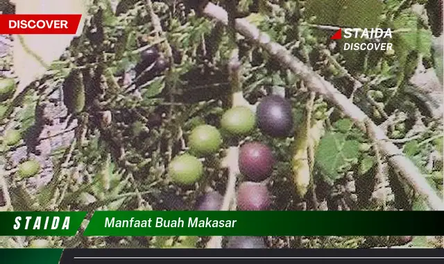 manfaat buah makasar