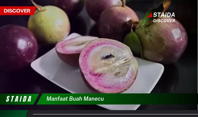 Ternyata bukan cuma buah nanas, Ini dia 5 Manfaat buah manecu yang wajib diintip