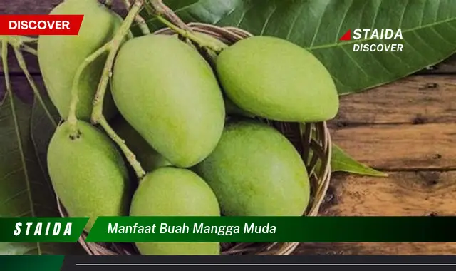 manfaat buah mangga muda