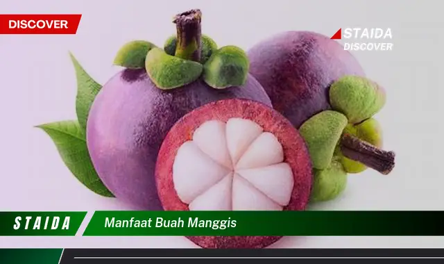 manfaat buah manggis