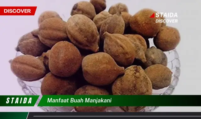 manfaat buah manjakani