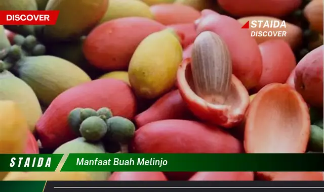 manfaat buah melinjo