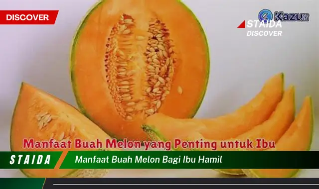 manfaat buah melon bagi ibu hamil