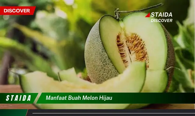 manfaat buah melon hijau