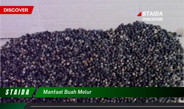 manfaat buah melur