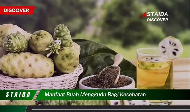 manfaat buah mengkudu bagi kesehatan