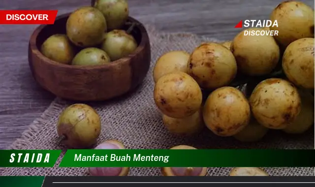 manfaat buah menteng