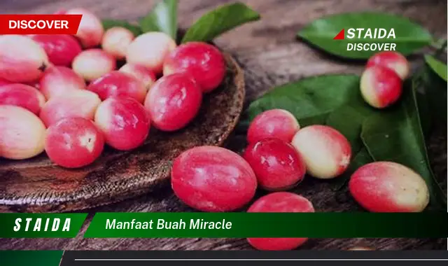 manfaat buah miracle