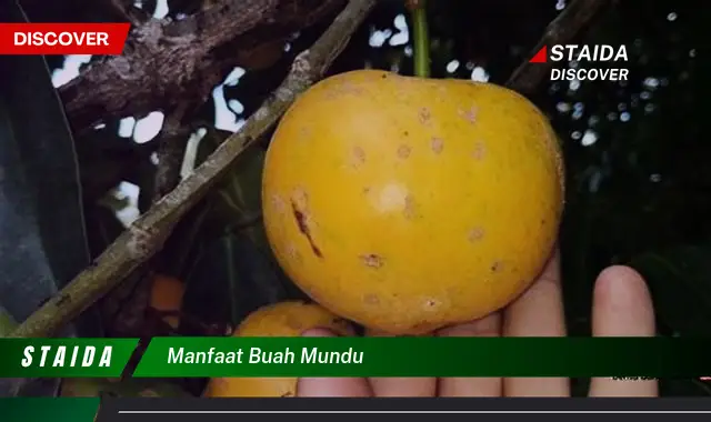 manfaat buah mundu