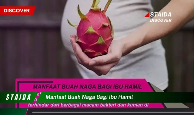 manfaat buah naga bagi ibu hamil