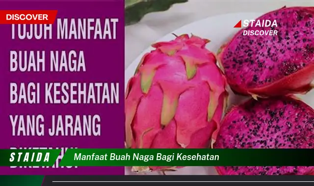 manfaat buah naga bagi kesehatan