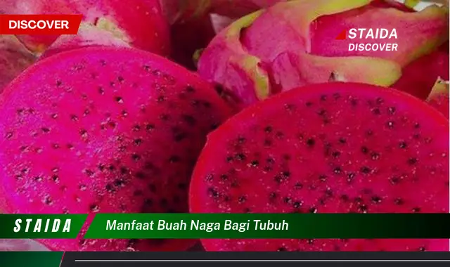 manfaat buah naga bagi tubuh