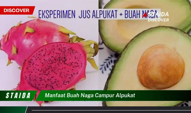 manfaat buah naga campur alpukat