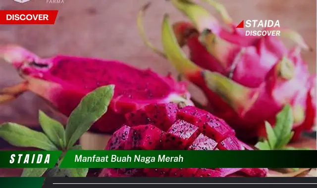 manfaat buah naga merah