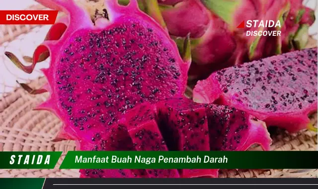 manfaat buah naga penambah darah