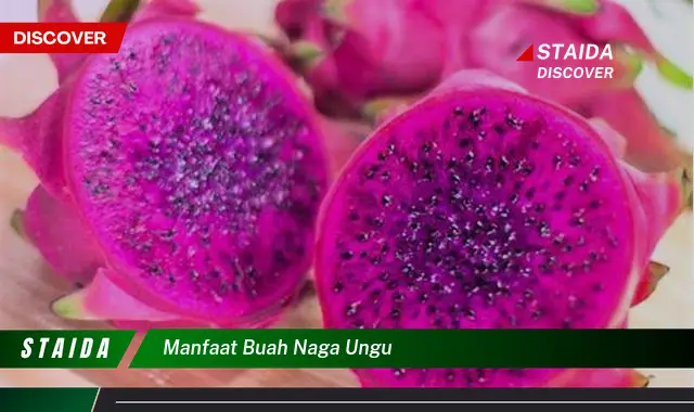 manfaat buah naga ungu