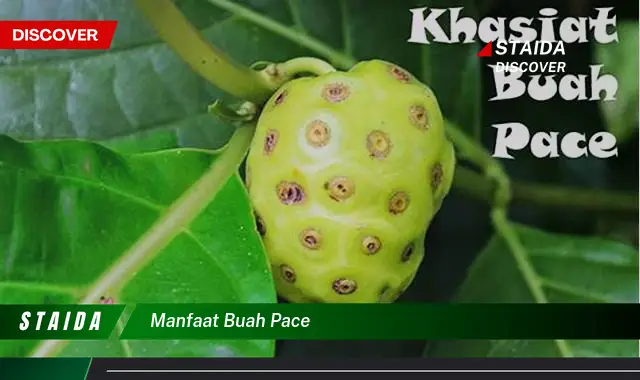 manfaat buah pace