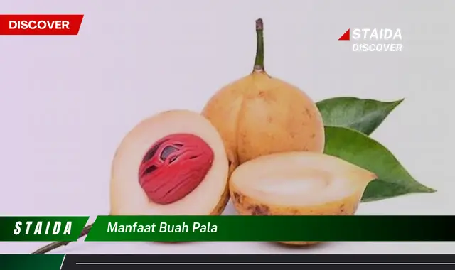 manfaat buah pala