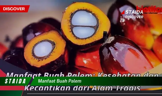 manfaat buah palem