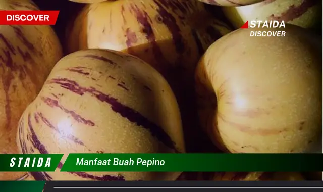 manfaat buah pepino