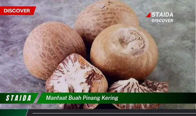 manfaat buah pinang kering