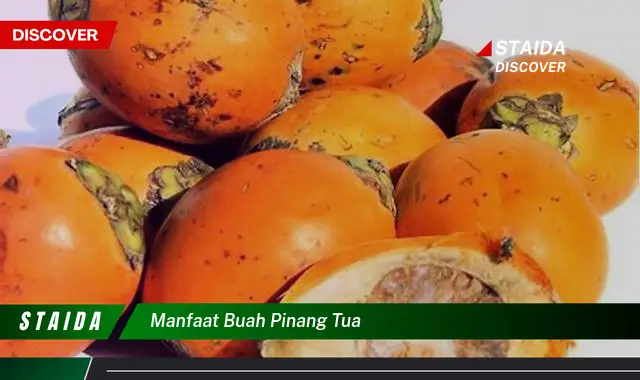 manfaat buah pinang tua