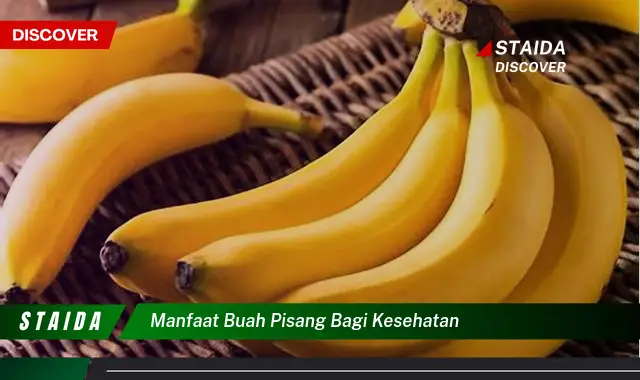 manfaat buah pisang bagi kesehatan