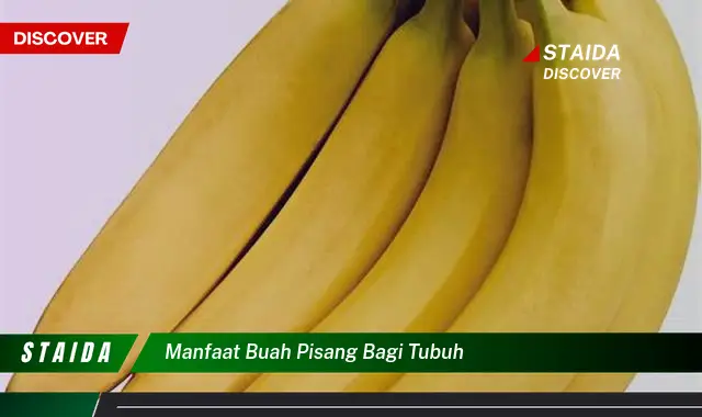 manfaat buah pisang bagi tubuh