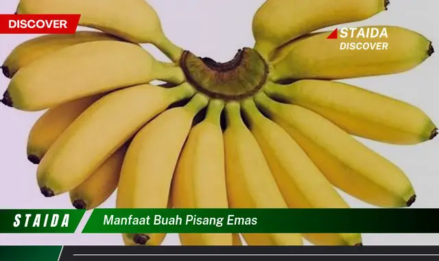 manfaat buah pisang emas