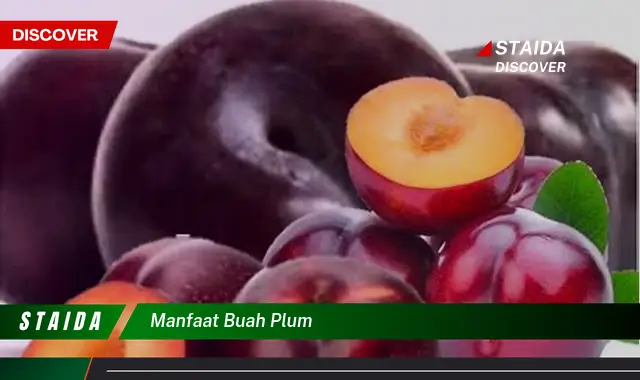 manfaat buah plum