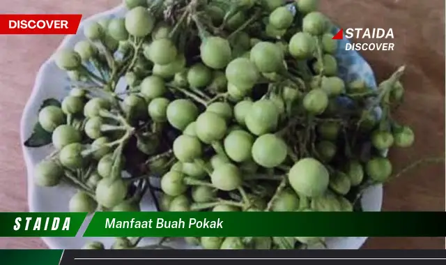 manfaat buah pokak